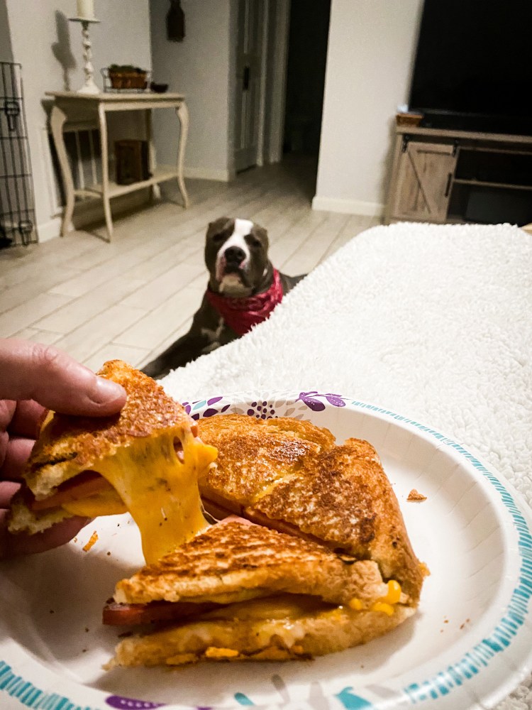 8BB32AFE-0A24-49B0-9E63-B3FF54E40767